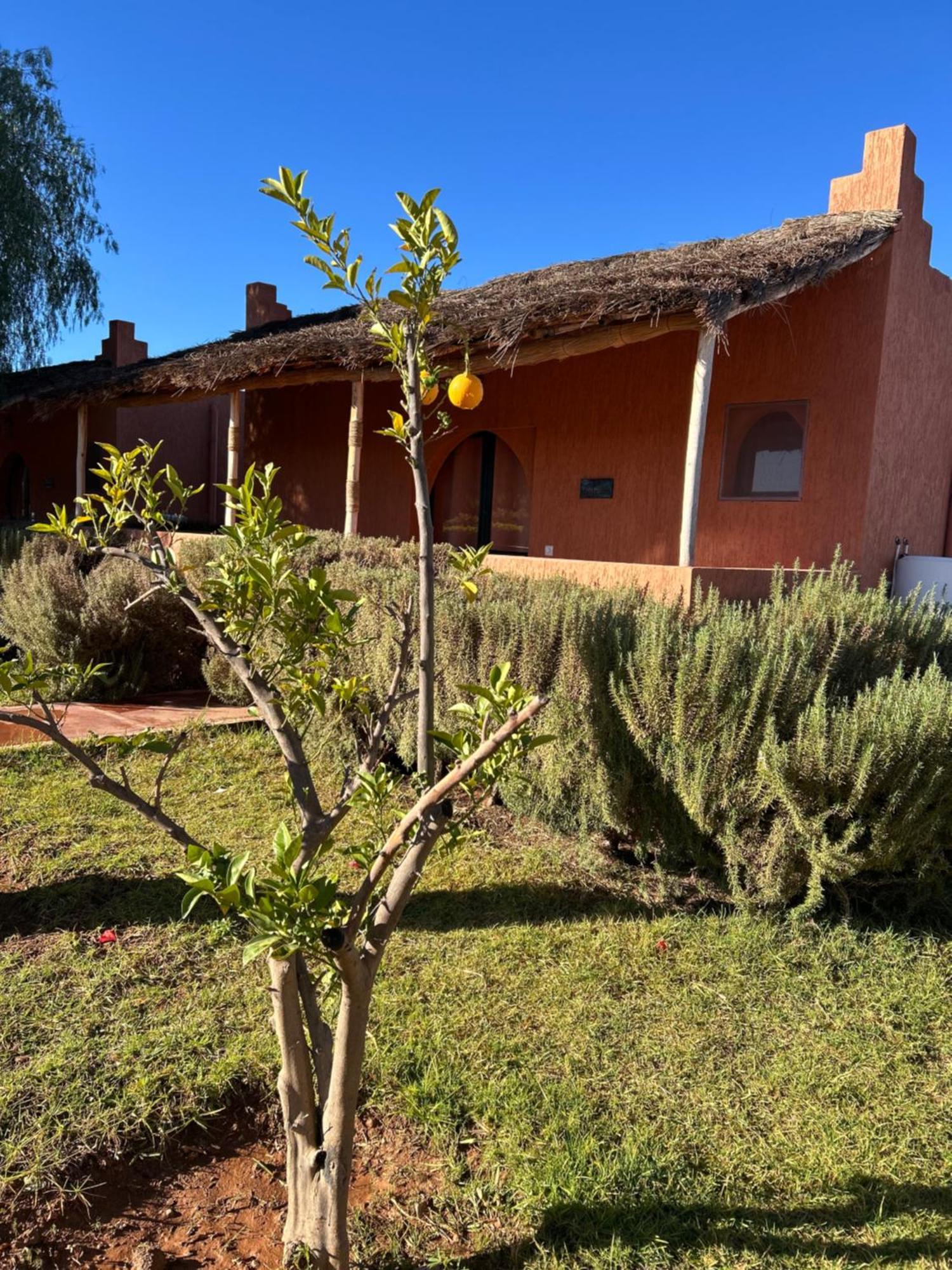 Hotel Les Orangers De L'Ourika Douar Akkara Exterior foto